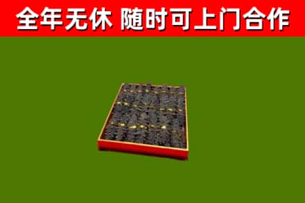 修水县回收海参